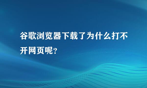 谷歌浏览器下载了为什么打不开网页呢？