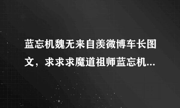 蓝忘机魏无来自羡微博车长图文，求求求魔道祖师蓝忘机魏无羡这张原图