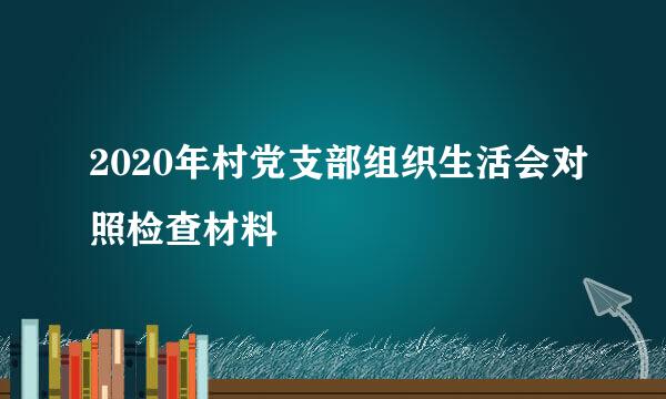 2020年村党支部组织生活会对照检查材料