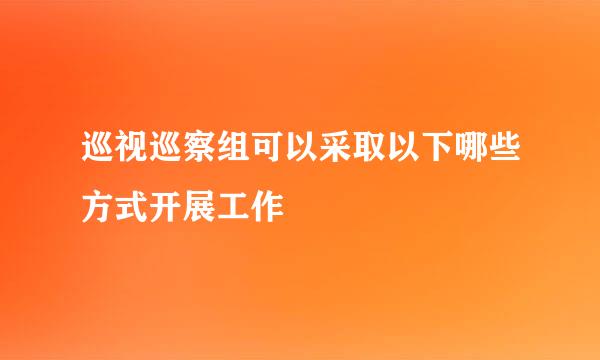 巡视巡察组可以采取以下哪些方式开展工作