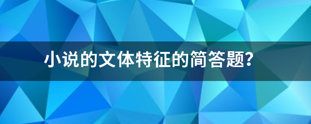 小说的文体特征的简答题？