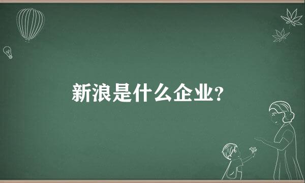 新浪是什么企业？