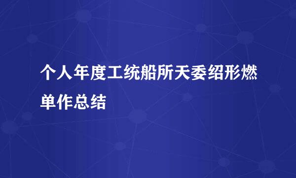 个人年度工统船所天委绍形燃单作总结