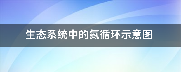 生态系统中的氮循环示意图