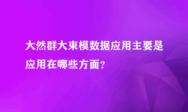 大然群大束模数据应用主要是应用在哪些方面？