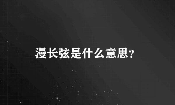 漫长弦是什么意思？