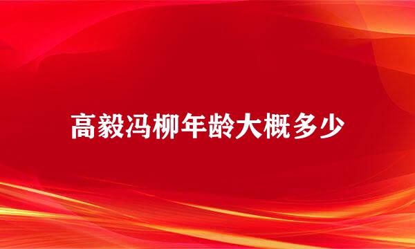 高毅冯柳年龄大概多少