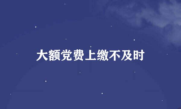 大额党费上缴不及时