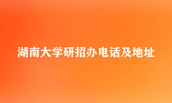 湖南大学研招办电话及地址