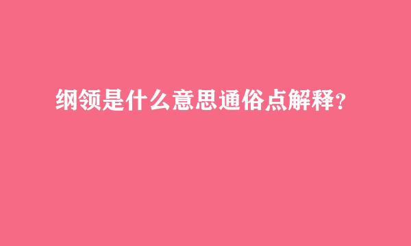 纲领是什么意思通俗点解释？