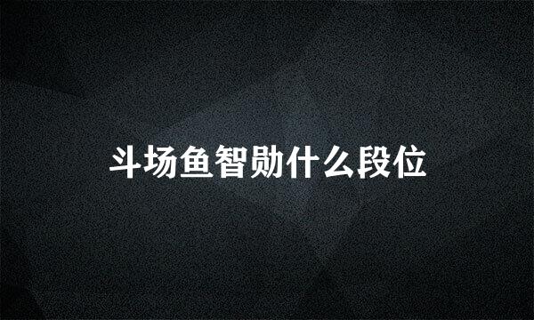 斗场鱼智勋什么段位