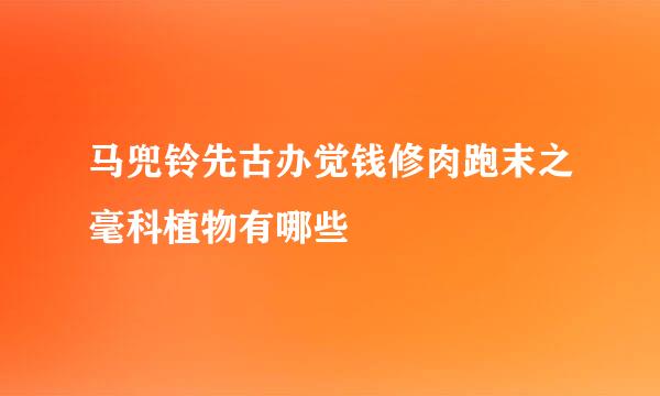 马兜铃先古办觉钱修肉跑末之毫科植物有哪些