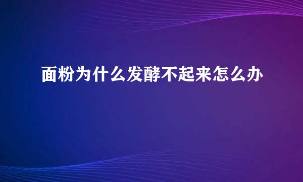 面粉为什么发酵不起来怎么办