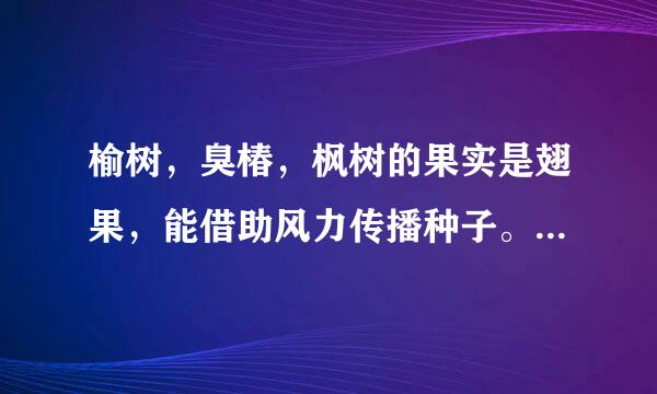 榆树，臭椿，枫树的果实是翅果，能借助风力传播种子。是对还是错？