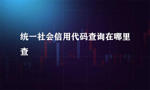 统一社会信用代码查询在哪里查