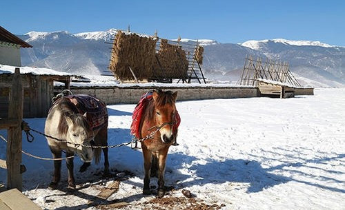 1-2月最适合旅游的地方是哪里？求分享