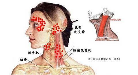 正骨手法视频教来自程