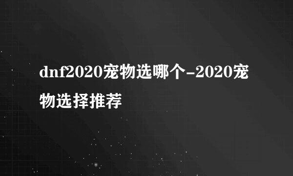 dnf2020宠物选哪个-2020宠物选择推荐