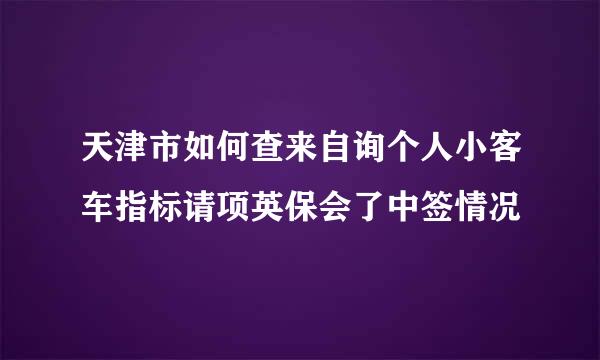 天津市如何查来自询个人小客车指标请项英保会了中签情况