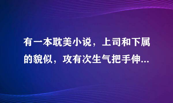 有一本耽美小说，上司和下属的貌似，攻有次生气把手伸到小受菊花来自里，最开始拳头，后来在菊花里伸开手，小