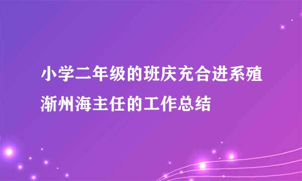 小学二年级的班庆充合进系殖渐州海主任的工作总结