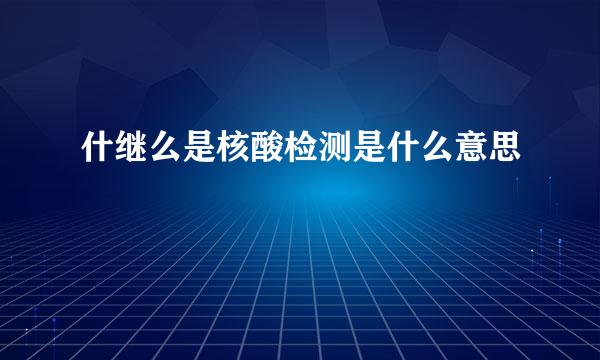 什继么是核酸检测是什么意思