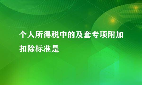 个人所得税中的及套专项附加扣除标准是