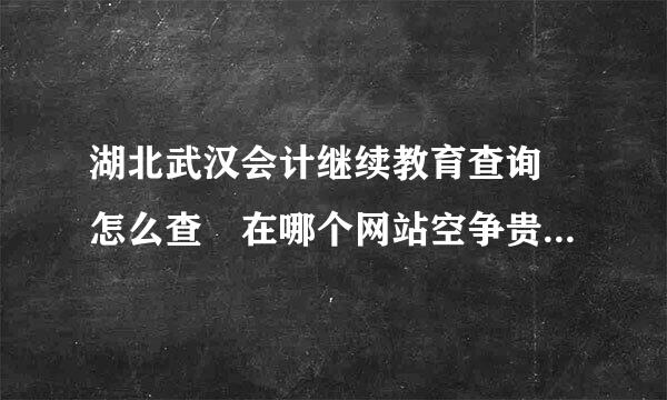 湖北武汉会计继续教育查询 怎么查 在哪个网站空争贵百乐杂场较上查