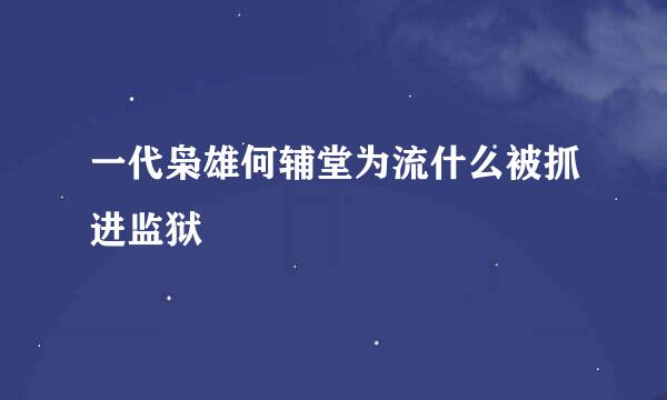 一代枭雄何辅堂为流什么被抓进监狱