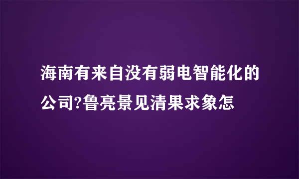 海南有来自没有弱电智能化的公司?鲁亮景见清果求象怎