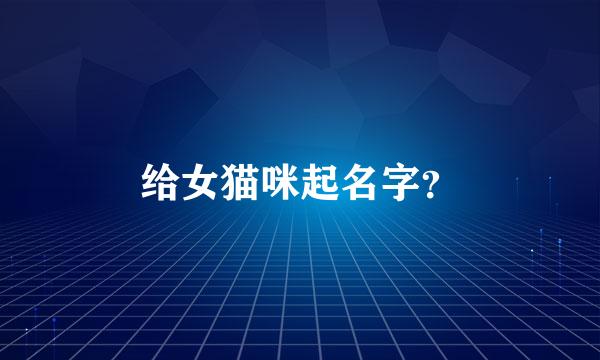 给女猫咪起名字？