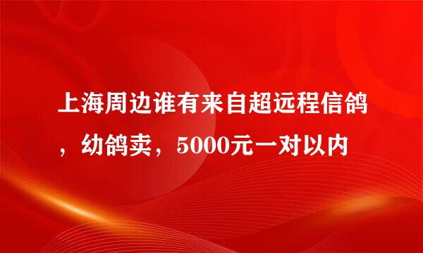 上海周边谁有来自超远程信鸽，幼鸽卖，5000元一对以内