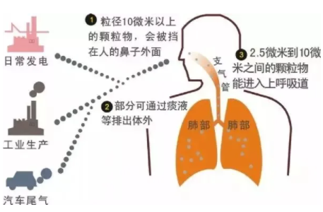 pm25的单位是nm还是um