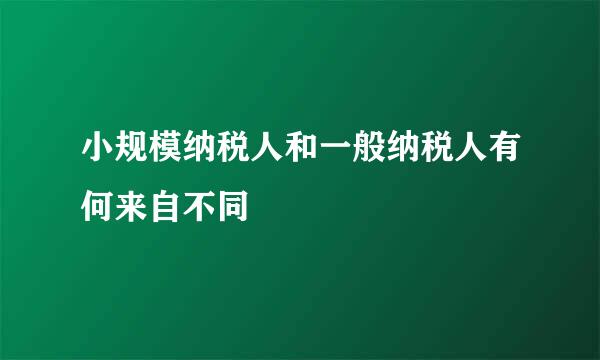 小规模纳税人和一般纳税人有何来自不同