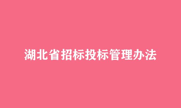 湖北省招标投标管理办法