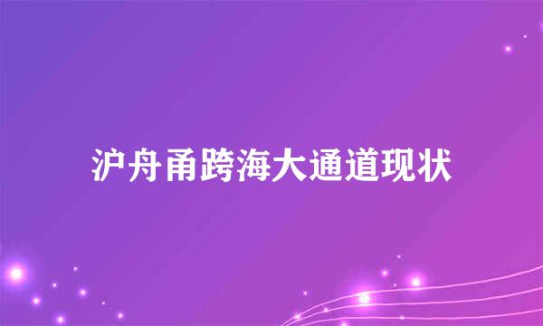 沪舟甬跨海大通道现状