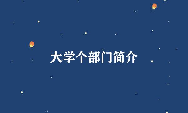 大学个部门简介