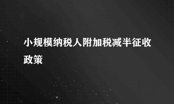 小规模纳税人附加税减半征收政策