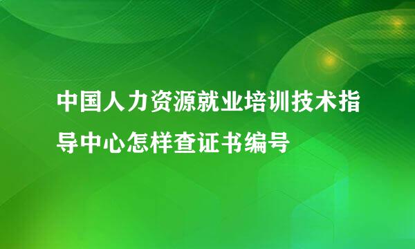 中国人力资源就业培训技术指导中心怎样查证书编号