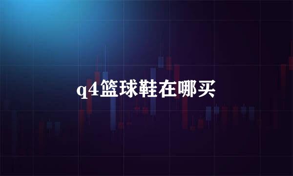 q4篮球鞋在哪买