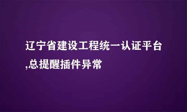 辽宁省建设工程统一认证平台,总提醒插件异常