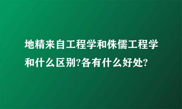 地精来自工程学和侏儒工程学和什么区别?各有什么好处?