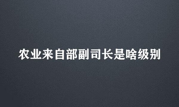 农业来自部副司长是啥级别