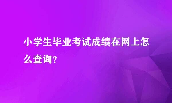 小学生毕业考试成绩在网上怎么查询？