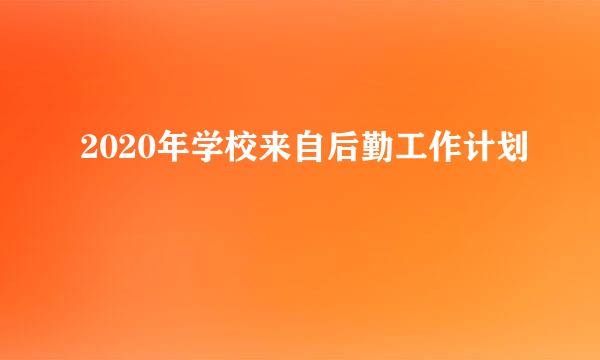 2020年学校来自后勤工作计划