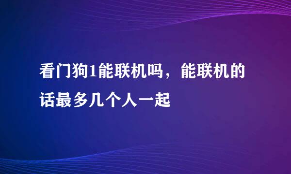 看门狗1能联机吗，能联机的话最多几个人一起