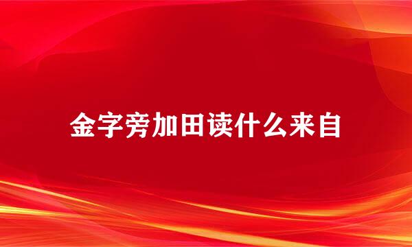 金字旁加田读什么来自