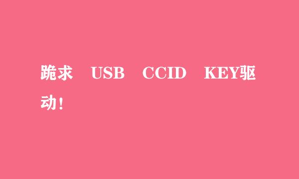 跪求 USB CCID KEY驱动！