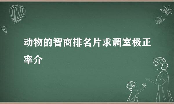 动物的智商排名片求调室极正率介