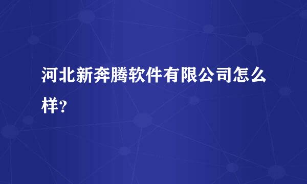 河北新奔腾软件有限公司怎么样？